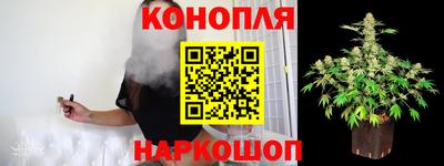 крисы Будённовск