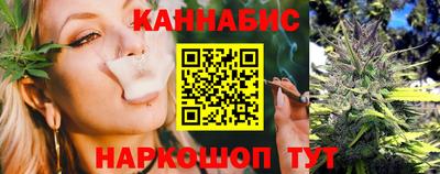 крисы Будённовск