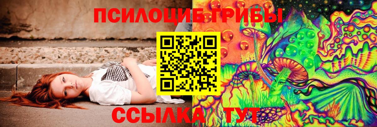 Псилоцибиновые грибы прущие грибы Ростов-на-Дону